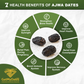 Original Ajwa Dates of Madinah, Saudi Arabia | Premium Arabian Dates